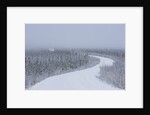 Dempster Highway in snow storm by Anonymous