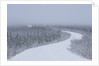 Dempster Highway in snow storm by Anonymous