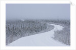 Dempster Highway in snow storm by Anonymous