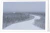 Dempster Highway in snow storm by Anonymous