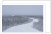 Dempster Highway in snow storm by Anonymous