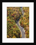 Road through Autumn forest by Anonymous