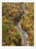 Road through Autumn forest by Anonymous