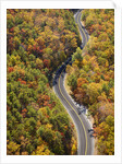 Road through Autumn forest by Anonymous