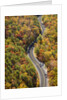 Road through Autumn forest by Anonymous
