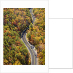 Road through Autumn forest by Anonymous