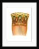 One of a pair of Art Nouveau tortoiseshell and enamel hair combs by Braquemond by Anonymous