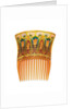 One of a pair of Art Nouveau tortoiseshell and enamel hair combs by Braquemond by Anonymous