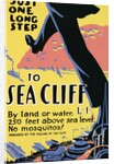 Just one long step to Sea Cliff by Anonymous