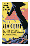 Just one long step to Sea Cliff by Anonymous