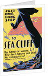 Just one long step to Sea Cliff by Anonymous
