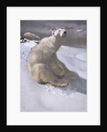 Polar bears in snow by Carl Ederer
