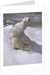 Polar bears in snow by Carl Ederer
