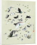 Drawing of butterflies and moths attributed to Settso by Anonymous