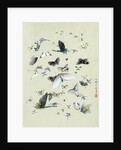 Drawing of butterflies and moths attributed to Settso by Anonymous
