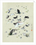 Drawing of butterflies and moths attributed to Settso by Anonymous
