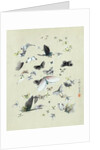 Drawing of butterflies and moths attributed to Settso by Anonymous