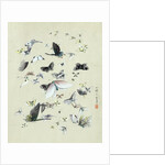 Drawing of butterflies and moths attributed to Settso by Anonymous
