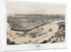 Birds' Eye View of New Orleans by Anonymous