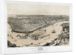 Birds' Eye View of New Orleans by Anonymous