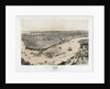 Birds' Eye View of New Orleans by Anonymous