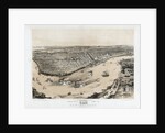 Birds' Eye View of New Orleans by Anonymous