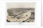 Birds' Eye View of New Orleans by Anonymous