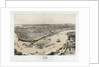 Birds' Eye View of New Orleans by Anonymous