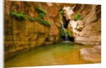 Elves Chasm by Anonymous