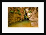 Elves Chasm by Anonymous