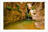 Elves Chasm by Anonymous