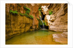 Elves Chasm by Anonymous