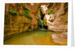 Elves Chasm by Anonymous
