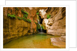 Elves Chasm by Anonymous