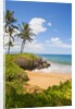 Secluded Po'olenalena Beach on Maui by Anonymous