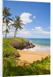 Secluded Po'olenalena Beach on Maui by Anonymous