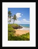 Secluded Po'olenalena Beach on Maui by Anonymous