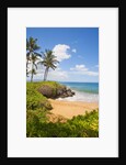Secluded Po'olenalena Beach on Maui by Anonymous