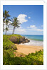 Secluded Po'olenalena Beach on Maui by Anonymous