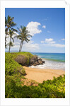 Secluded Po'olenalena Beach on Maui by Anonymous