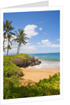 Secluded Po'olenalena Beach on Maui by Anonymous