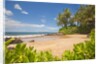 Secluded sandy beach on Maui by Anonymous