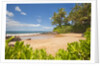 Secluded sandy beach on Maui by Anonymous