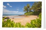 Secluded sandy beach on Maui by Anonymous