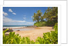 Secluded sandy beach on Maui by Anonymous