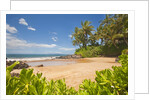 Secluded sandy beach on Maui by Anonymous
