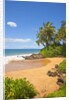 Chang's Beach on Maui by Anonymous