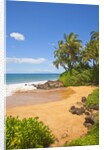 Chang's Beach on Maui by Anonymous