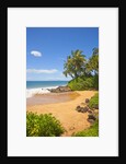 Chang's Beach on Maui by Anonymous