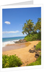 Chang's Beach on Maui by Anonymous